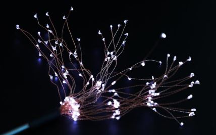 led drvo poč.jpg